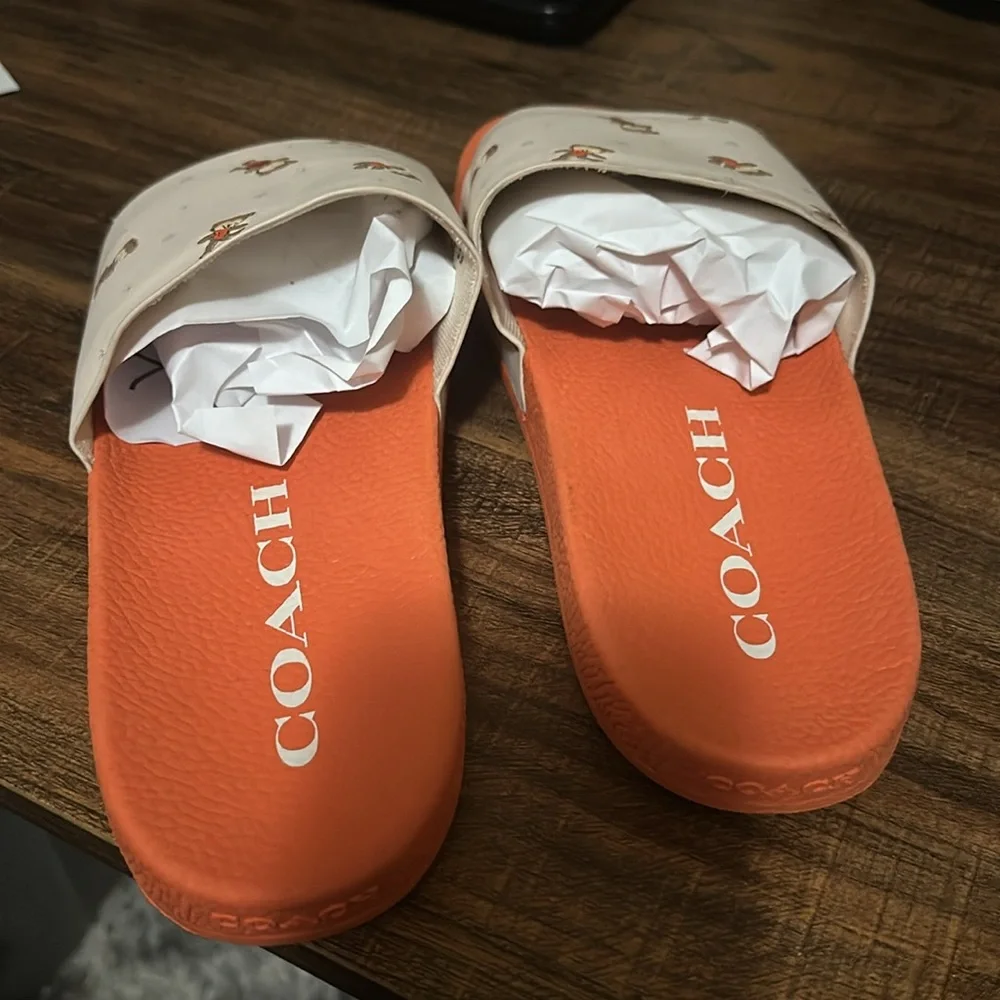 Coach - Picture 3 of 5